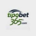 Tipobet logosu